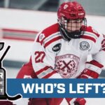 College free agents and everyone else left in NHL free agency