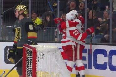 Evaluating Red Wings Offseason