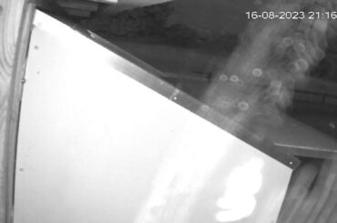 Jeremy Davies Live Stream