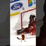 Brian Elliott's Spectacular Acrobatic Save Against Canadiens! #hockey #shorts #nhl