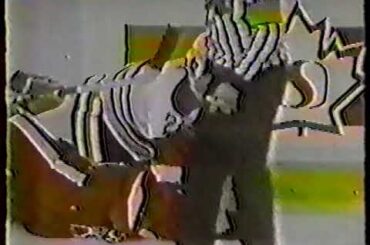 Linesmen break up Joe Kocur and Marty McSorley and Harold Snepsts vs Kevin McClelland - Mar 14, 1986