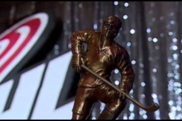 Shea Theodore Defenseman of Year Award
