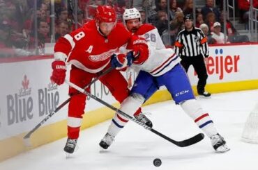 What does the Petry Trade means for the Red Wings Defense?