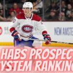 Montreal Canadiens Organizational Pipeline Ranking