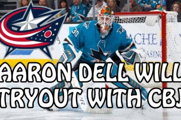 Will Aaron Dell be the Blue Jackets Veteran #3 Goaltender?