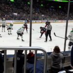 Dallas Stars & Jani Hakanpää  Get away with a Tripping Penalty