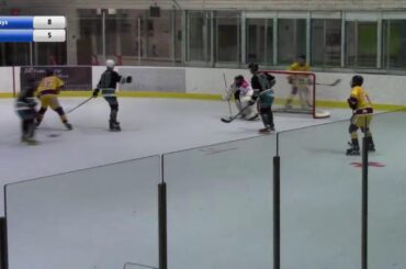 Division 1 PLAYOFFS  -  Great Guys vs Grizzlies