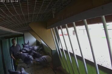 Jeremy Davies Live Stream