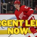 Detroit Red Wings is on.