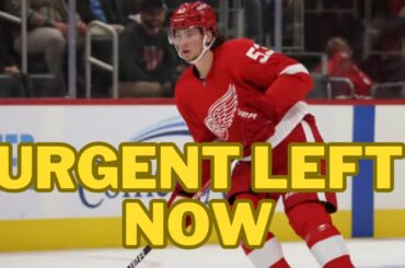 Detroit Red Wings is on.