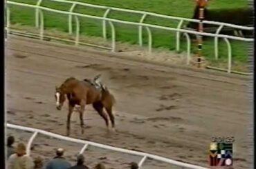 Scary Incident at Southwell Racecourse