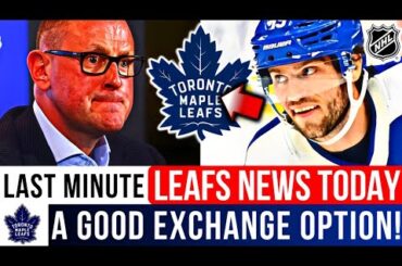 🚨 LEAFS TRADE NEWS! SHOULD THE MAPLE LEAFS TRADE CALLE JARNKROK? NHL NEWS! TORONTO MAPLE LEAFS NEWS