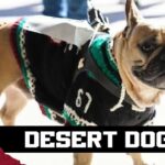 Spotlighting the Arizona Coyotes’ canine crew in celebration of International Dog Day