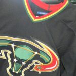 My Collection 2023 Edition: Dallas Stars (Seals and North Stars as Well)