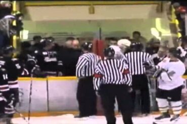 Hockey Fights - Gallant vs Poirier Jan 17