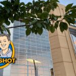 DK's Daily Shot of Penguins: A bright business future