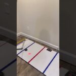 Can I Beat Connor Bedard’s High Score?🏒