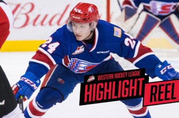 2017-18 HIGHLIGHT REEL | Ty Smith