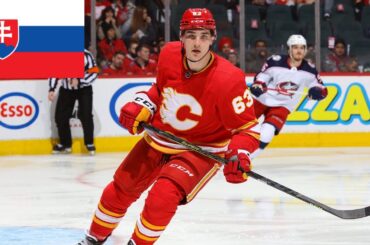 ADAM RUŽIČKA VŠETKY GÓLY V NHL SEZÓNA 2022/2023