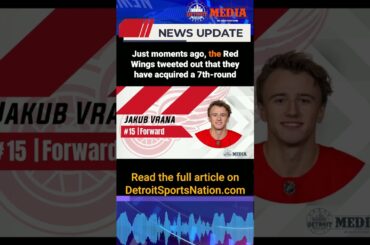 Detroit Red Wings trade Jakub Vrana to St  Louis Blues