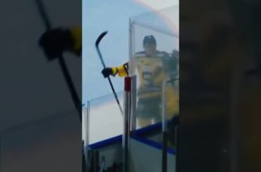 🇸🇪🏴‍☠️✍️Herzlich willkommen, Lucas Carlsson 😍 #epc #eispiraten #crimmitschau #neuzugang