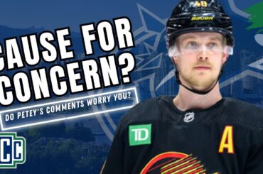 DO ELIAS PETTERSSON'S COMMENTS CONCERN YOU?