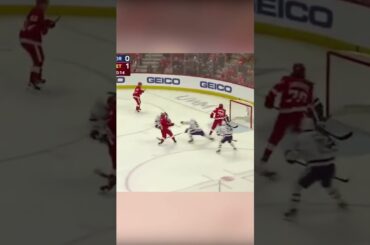 Dominik Kubalik assist on Fabbri's goal vs Sabres 1/12 #shorts #nhl #hockey