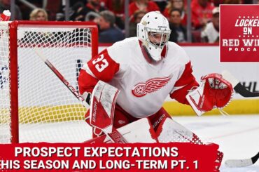 Prospect Expectations This Season & Long-Term Pt. 1 | Sandin Pellikka, Danielson, Cossa & Lombardi