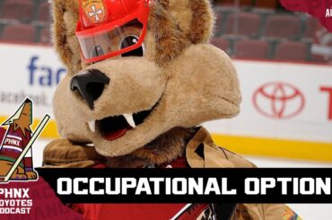 What would Arizona Coyotes players do for work if not for professional hockey?