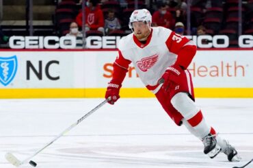 Anthony Mantha (#39) All Goals 2020-21 Season