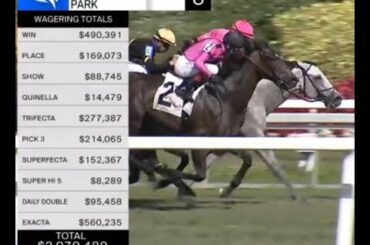 8th Race - Gulfstream Park - Saturday, February 27th, 2021