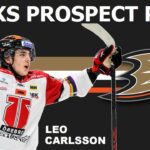 ANAHEIM DUCKS Prospect Pool | Top 10 NHL Prospects Ranking