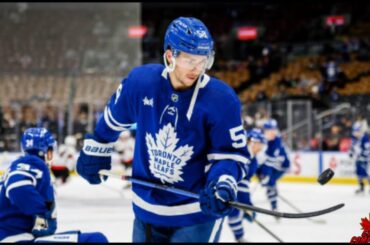 Michael Bunting Highlights