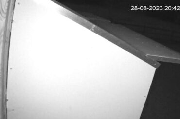 Jeremy Davies Live Stream