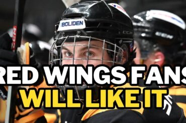 Red Wings fans will enjoy following the progress of.