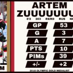 Ottawa Senators 2023 Organizational Value Rankings: Artem Zub