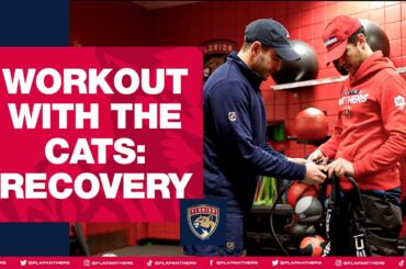 Workout with the Cats: Recovery