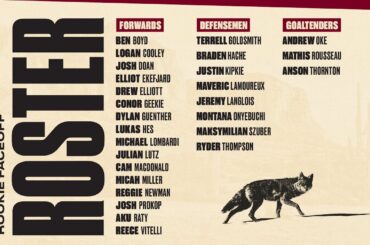 Arizona Coyotes Announce 2023 Rookie Tournament Roster