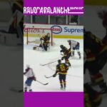 ANDREW COGLIANO | COLORADO AVALANCHE #short #shorts #nhl #avalanche #hockey #nhlhighlights #goal