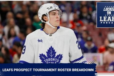 Toronto Maple Leafs prospect tournament roster breakdown, Mike Babcock up to old antics?