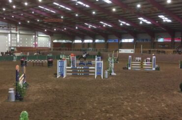 TONAGH FIRE FOX CAVAN YR