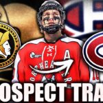 HABS & SENS MAKE A TRADE: MONTREAL CANADIENS & OTTAWA SENATORS TRADE JAKOV NOVAK (Top NHL Prospects)