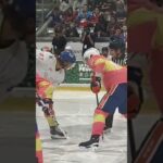 Mise au jeu de Joshua Roy  #hockey