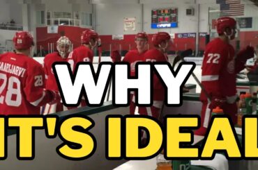 DETROIT RED WINGS NEWS TODAY: is ideal for the Red Wings