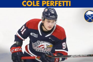 Cole Perfetti Ahead of 2020 NHL Draft | Buffalo Sabres