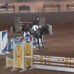 TONAGH FIRE FOX CAVAN INDOOR CHAMPIONSHIPS 2014