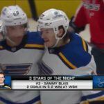 Three Stars of the Night