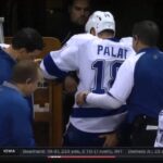Ondrej Palat Injury vs Minnesota