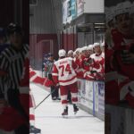 Red Wings goals in game 3 of NHL Prospect Tournament