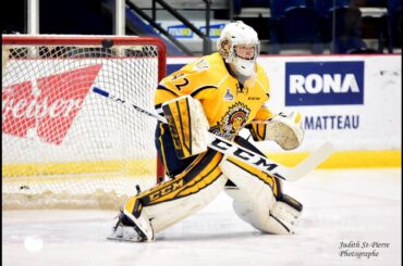 Sherbrooke Vs Shawinigan 31/12/15